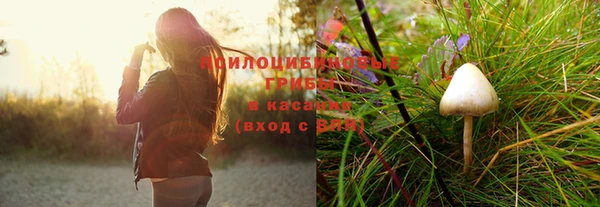 дурь Аркадак