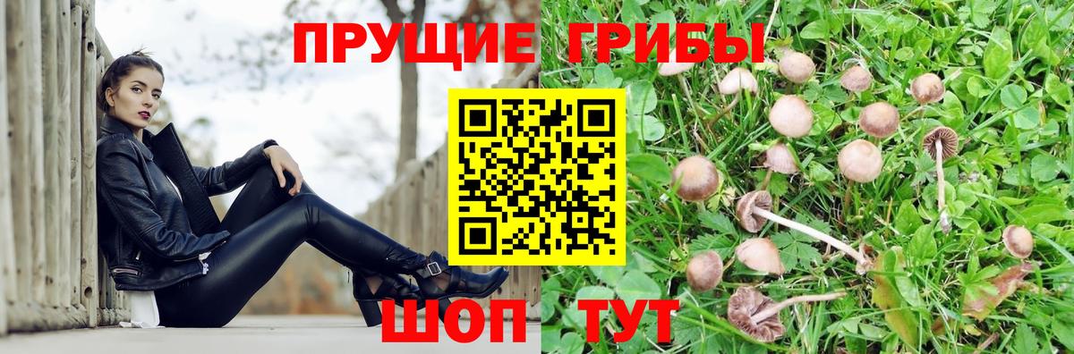 Унеча  Галлюциногенные грибы GOLDEN TEACHER  Вход с VPN 
