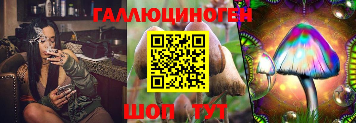Галлюциногенные грибы мицелий Унеча