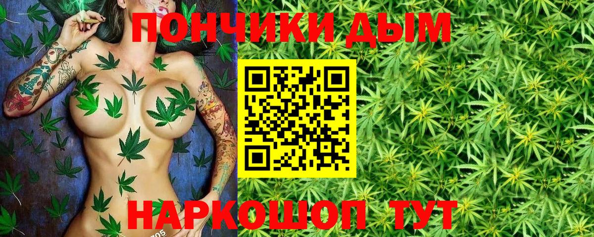 Канабис Bruce Banner  Вход с VPN  Унеча  Бошки марихуана сатива 